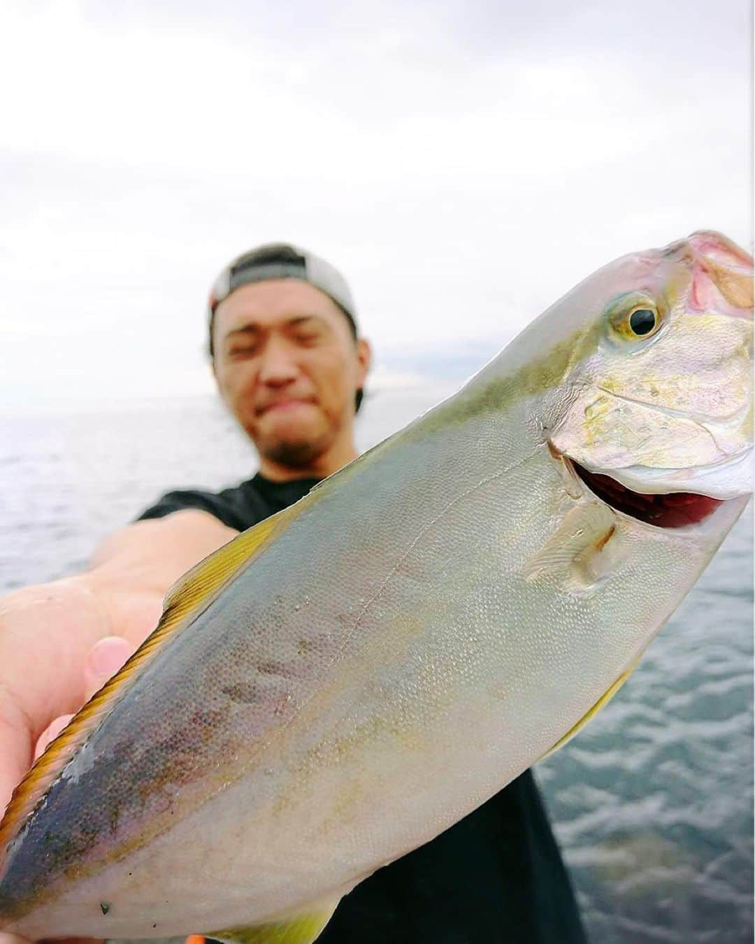 三浦雄也さんのインスタグラム写真 - (三浦雄也Instagram)「静岡・伊豆へ行って参りました！ 久々にゆっくりショアから釣りでした！ エギングロッドで20〜30gのジグ投げるのがやっぱりとても好き！  #ライトショアジギング #エギング #アオリイカ #ワカシ #ショゴ ？ #ネリゴ ？ #fieldculture  #FIELDCULTURE #株式会社EMPIRE」7月14日 20時40分 - yu_ya_miura