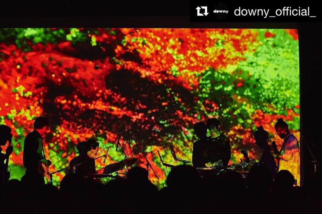 のインスタグラム：「#Repost @downy_official_ with @get_repost ・・・ 改めて、7/9「情けの首」にご来場いただきましてありがとうございました！約束を果たしてくれたTHE NOVEMBERSに感謝しています。  ライブでも演奏している新曲群を形にすべく、制作に入ります。どうぞこれからのdownyもお楽しみに。  #downy #downyband #downyjapan #thenovembers」