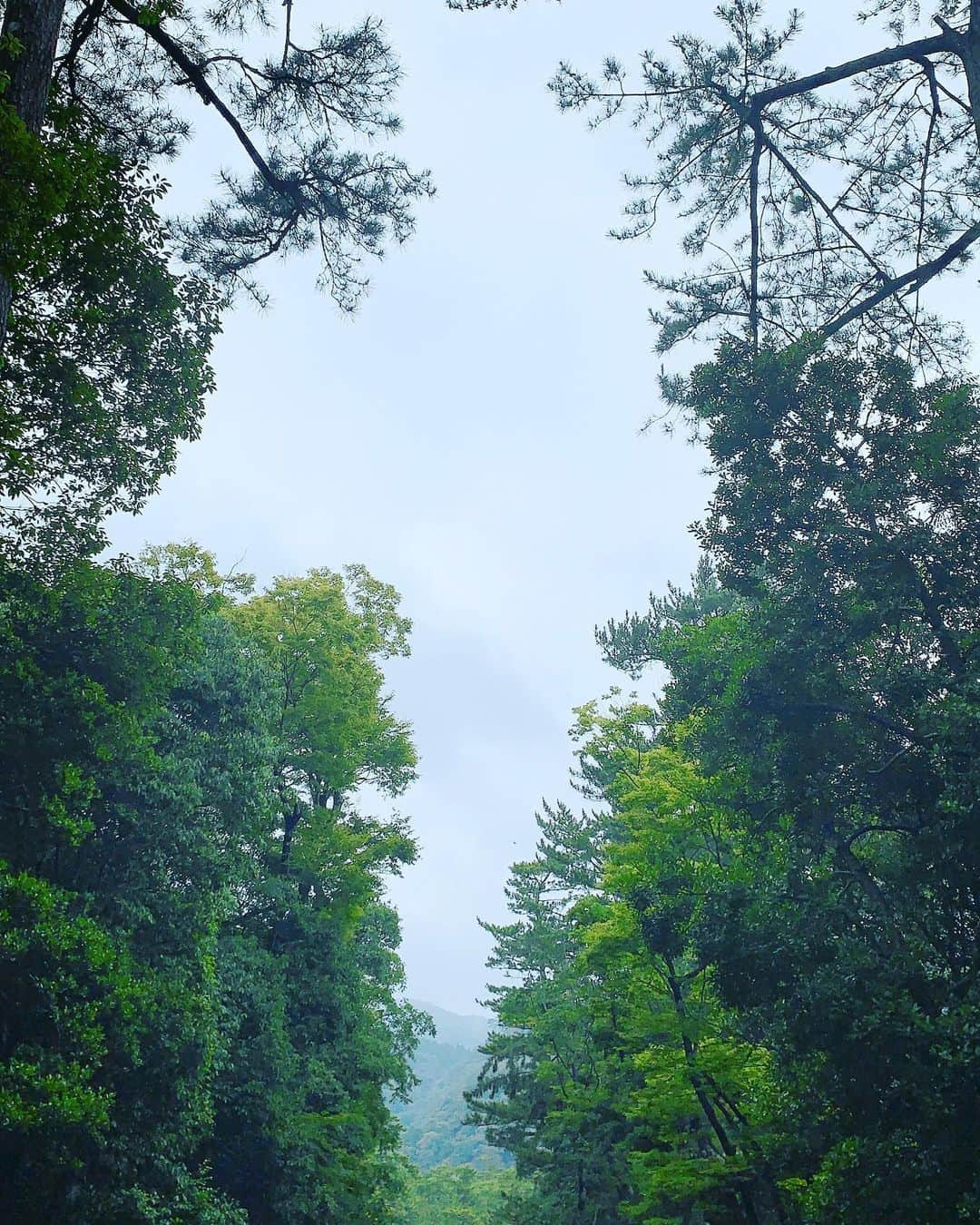 葉加瀬マイさんのインスタグラム写真 - (葉加瀬マイInstagram)「両親と出雲大社に来ました⛩ パワースポットでパワーチャージ💓皆様、どんな連休お過ごしですか？？☺️ #出雲大社 #이즈모타이샤 #izumotaisha」7月14日 21時32分 - m.hakase