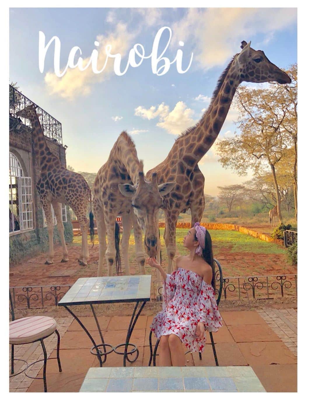 Laraさんのインスタグラム写真 - (LaraInstagram)「Giraffe Manor is a place  for protecting orphaned  Rothschild Giraffes. Benefits go to a endangered African animal charity. .  親を亡くして保護された絶滅危惧種のロスチャイルドキリン達が住むジラフマナー🦒 . このホテルに泊まって払うお金は アフリカの絶滅危惧動物のための寄付になるよ。」7月14日 21時40分 - fa_la_lara