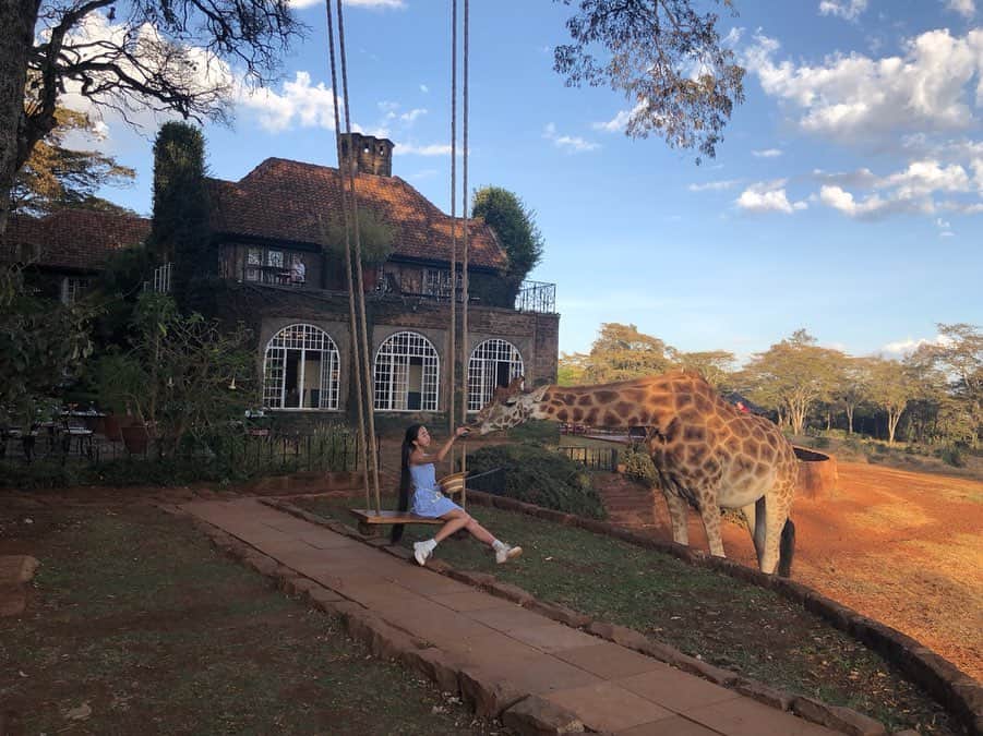 Laraさんのインスタグラム写真 - (LaraInstagram)「Giraffe Manor was built in 1974 . There are 7 giraffes 🦒 . . 1974年に建てられて 7頭のキリンが住むジラフマナー🦒🦒🏡 #Kenya #nairobi」7月14日 21時48分 - fa_la_lara