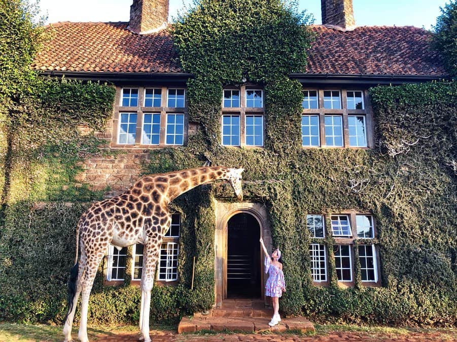 Laraさんのインスタグラム写真 - (LaraInstagram)「Giraffe Manor was built in 1974 . There are 7 giraffes 🦒 . . 1974年に建てられて 7頭のキリンが住むジラフマナー🦒🦒🏡 #Kenya #nairobi」7月14日 21時48分 - fa_la_lara