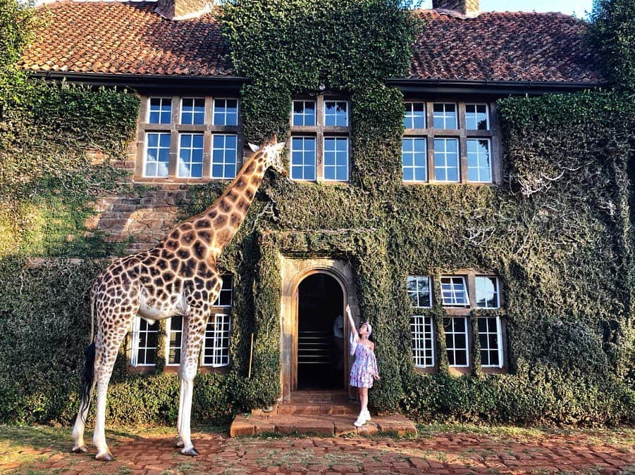 Laraさんのインスタグラム写真 - (LaraInstagram)「Giraffe Manor was built in 1974 . There are 7 giraffes 🦒 . . 1974年に建てられて 7頭のキリンが住むジラフマナー🦒🦒🏡 #Kenya #nairobi」7月14日 21時48分 - fa_la_lara