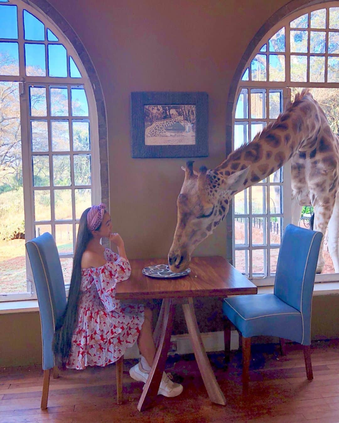 Laraさんのインスタグラム写真 - (LaraInstagram)「For more about Giraffe Manor go on my story highlights ✨ . 最初にジラフマナーに住んだキリンはデイジー🌼🦒 ジラフマナーについて知りたい人はストーリーのハイライトを見てね (^^) #Nairobi  #kenya」7月14日 22時04分 - fa_la_lara