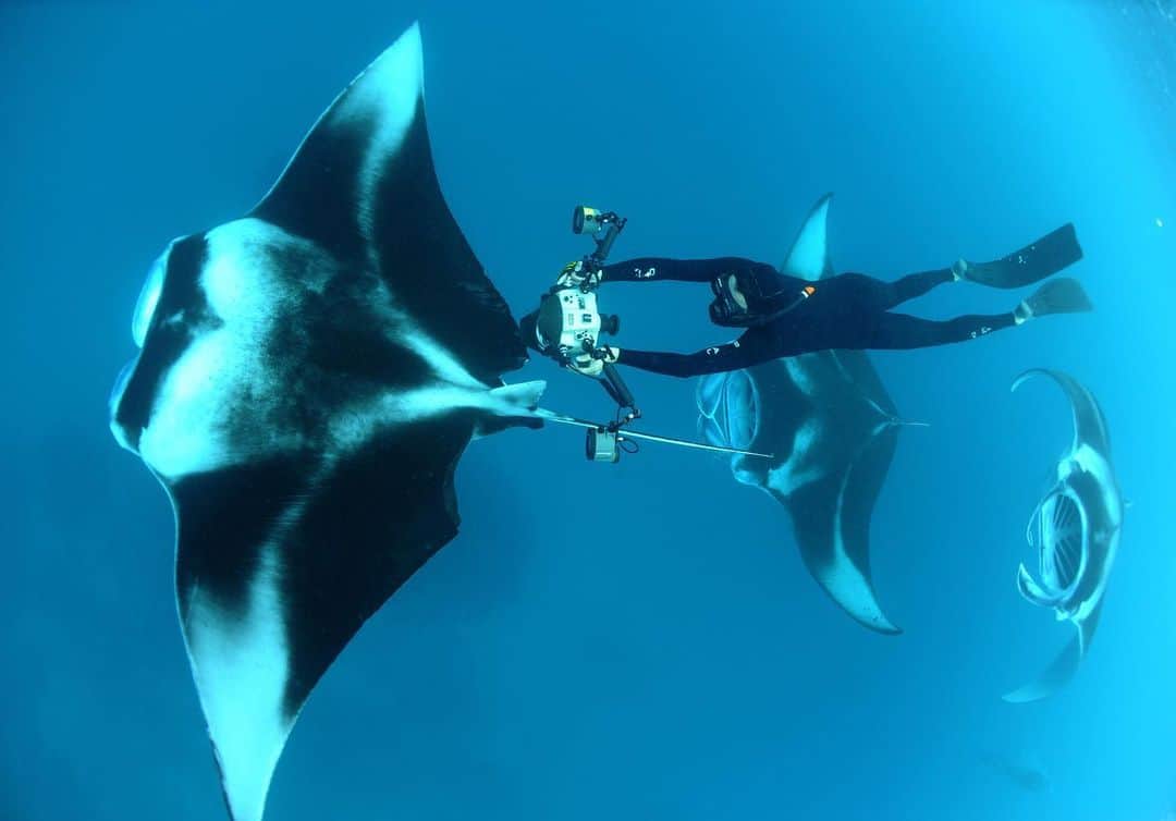 Thomas Peschakのインスタグラム：「Mantas and Me. This is one of my most cherished behind the scenes photographs, made by @mantatrust CEO @mantaguy The image shows me free diving in the midst of a feeding train of reef mantas, shooting photographs for my first ever story for @natgeo magazine in 2007. #manta #mantaray #freedive #ocean #underwaterphotography」