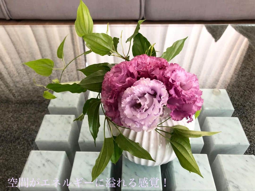 吉原珠央さんのインスタグラム写真 - (吉原珠央Instagram)「#お花のある生活」7月14日 23時23分 - tamaoyoshihara