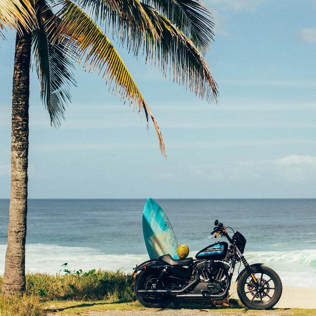 Harley-Davidson Japanさんのインスタグラム写真 - (Harley-Davidson JapanInstagram)「今日は海の日。夏を迎える準備は、できていますか🌊  #ハーレー #harley #ハーレーダビッドソン #harleydavidson #バイク #bike #オートバイ #motorcycle #アイアン1200 #iron1200 #xl1200ns #スポーツスター #sportster #海辺 #浜辺 #beach #海 #sea #ocean #海の日 #marineday #サーフィン #surfin #サーフ #surf #ワールドサーフリーグ #wsl #2019年 #自由 #freedom」7月15日 0時45分 - harleydavidsonjapan