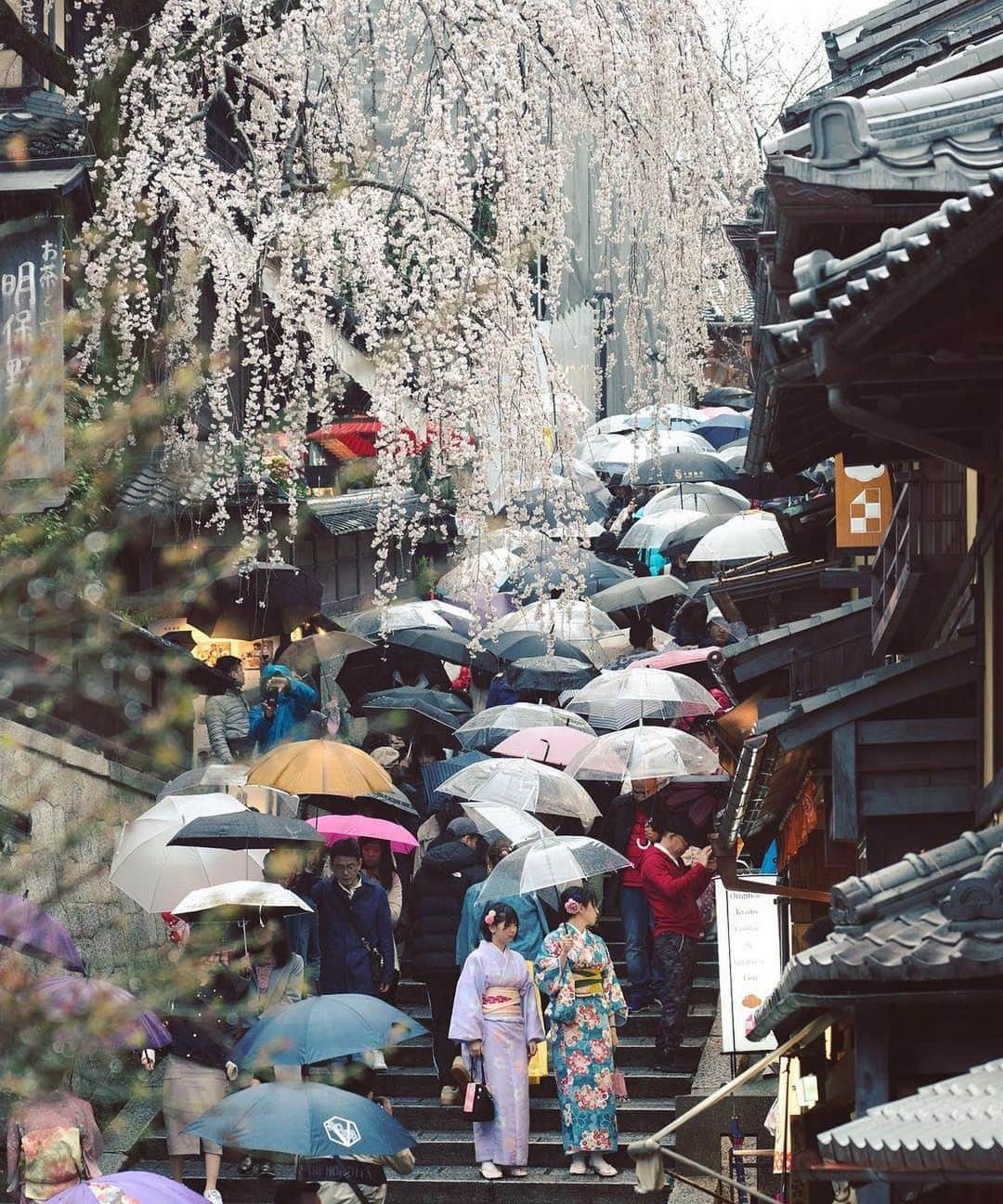 Instagramさんのインスタグラム写真 - (InstagramInstagram)「#HelloFrom Kyoto, Japan. A 1,200-year-old city where street style is informed by tradition — no matter the 🌨 ☀️ or ☔️ 😉  Say #HelloFrom your part of the world. ❤️ Please submit your own photos and videos to the project using the #HelloFrom hashtag. Any tagged visual shared with the hashtag is eligible for the project and, if selected, to be featured.  Photo by @mantaroq」7月15日 0時51分 - instagram