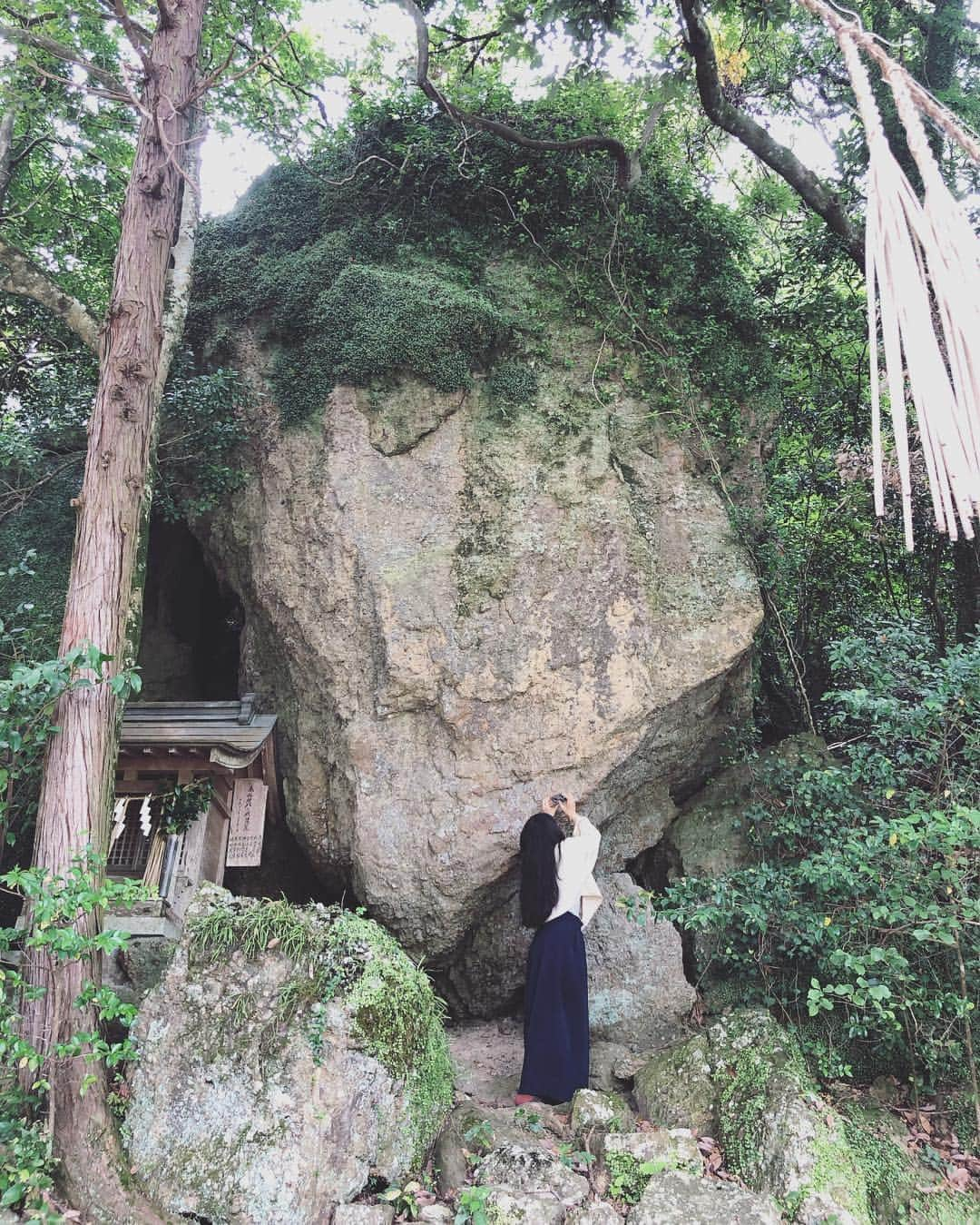 青葉市子さんのインスタグラム写真 - (青葉市子Instagram)「虫の卵を撮影している,  御酒神社」7月15日 0時54分 - ichikoaoba