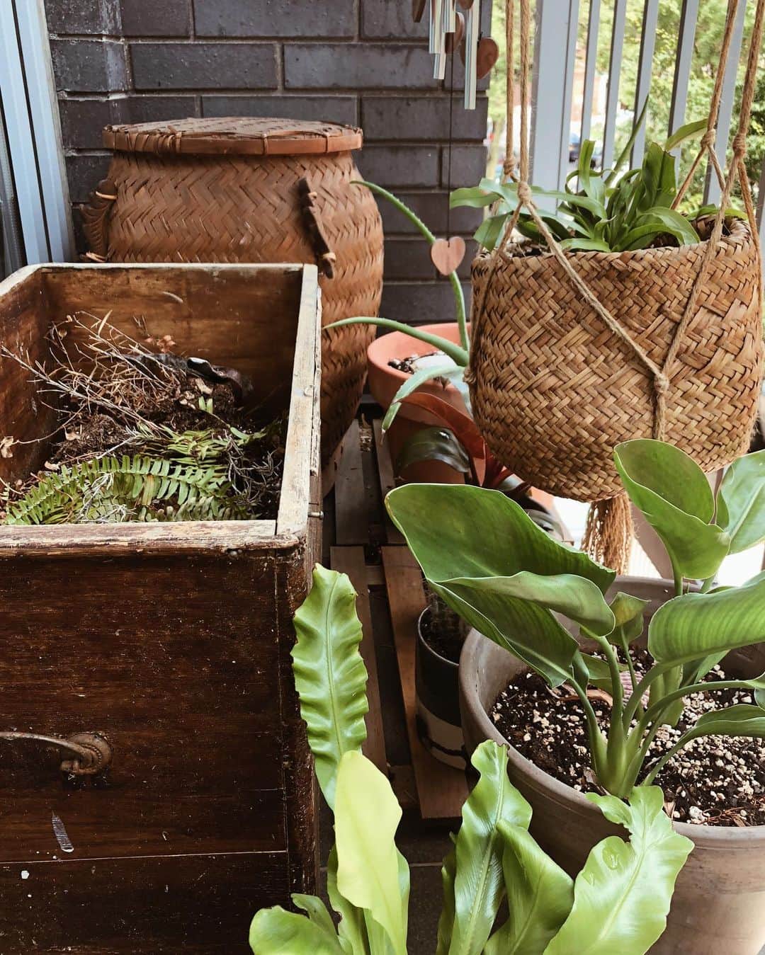 Tamikoのインスタグラム：「growing together 🌱🧡」