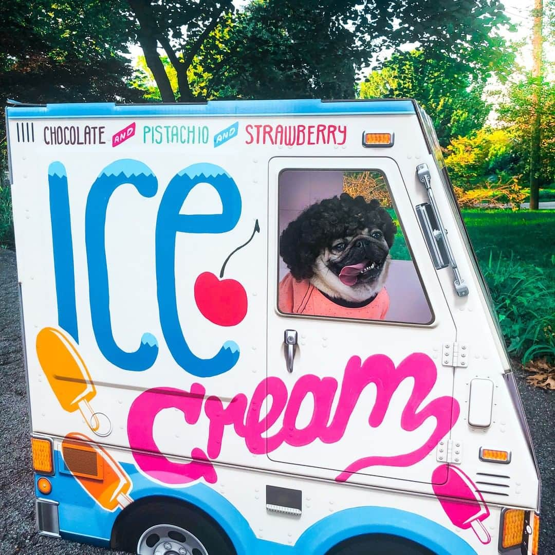 itsdougthepugさんのインスタグラム写真 - (itsdougthepugInstagram)「"Here comes the ice cream pug" -Doug」7月15日 1時00分 - itsdougthepug