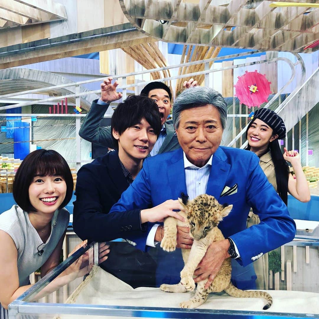 古市憲寿さんのインスタグラム写真 - (古市憲寿Instagram)「#とくダネ に来ていたライオンの赤ちゃん。小倉さん嬉しそう笑笑。 #富士サファリパーク」7月15日 10時56分 - poe1985