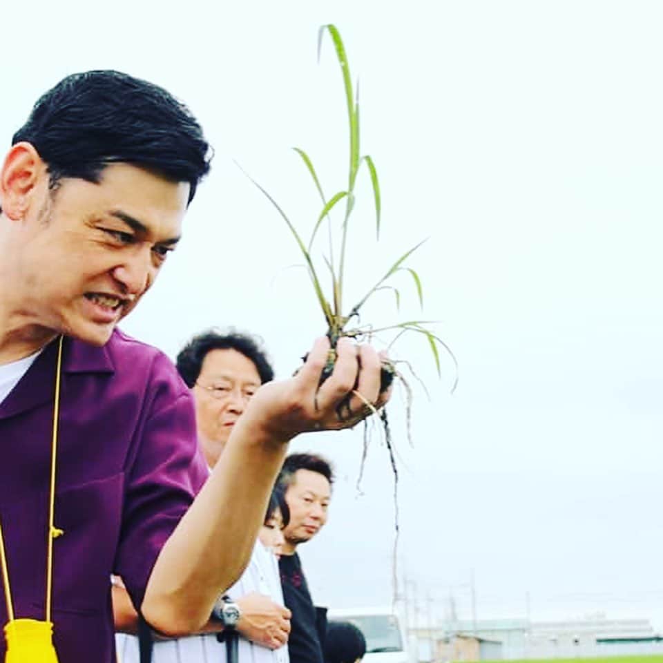 宮田麺児さんのインスタグラム写真 - (宮田麺児Instagram)「稲とおもったら ヒエ やった！！！ ヒエをはじめ 雑草を抜くだけのリターン立ち上げます！！！」7月15日 11時20分 - miyatamenji