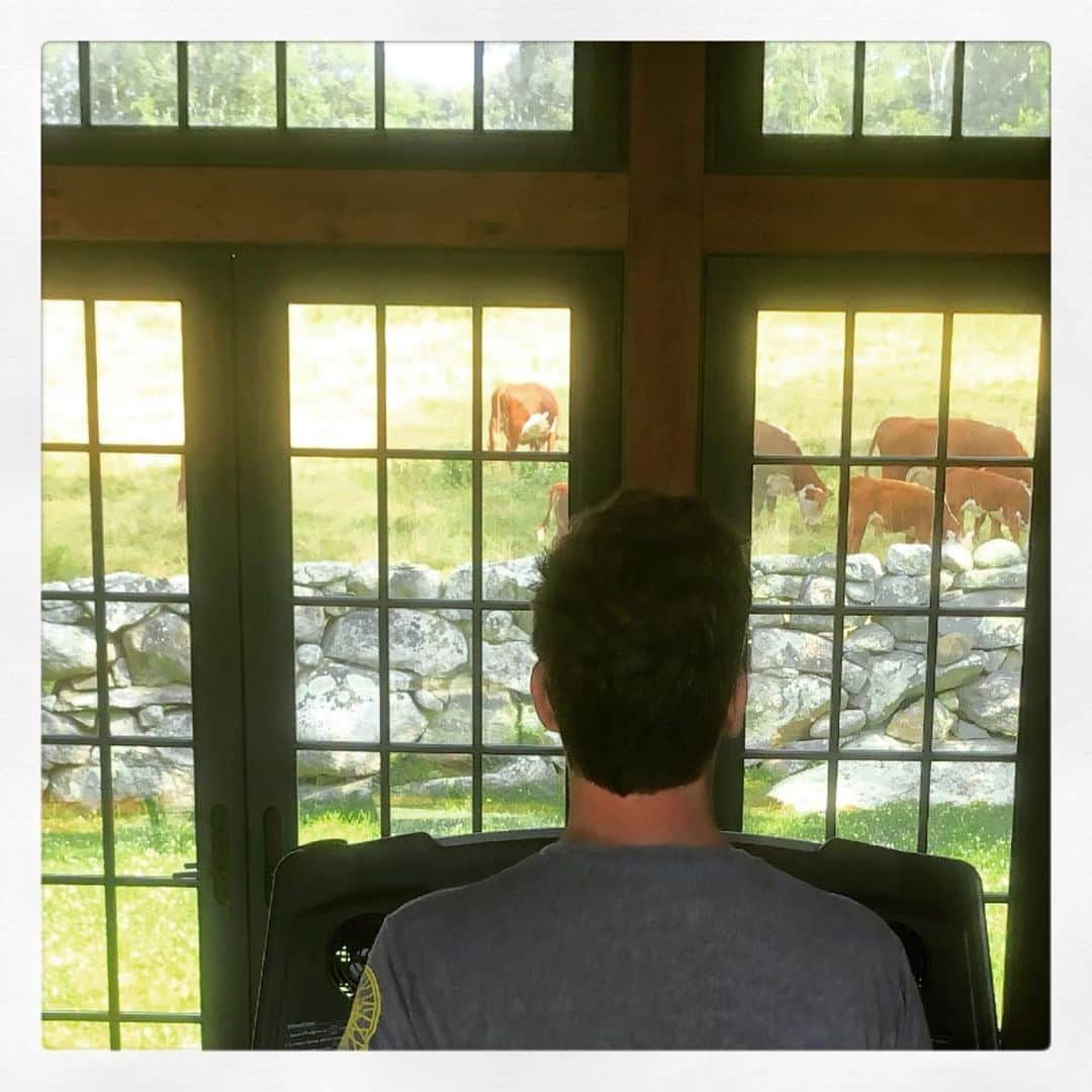 ダン・ブカティンスキーさんのインスタグラム写真 - (ダン・ブカティンスキーInstagram)「Working out overlooking the cows.  #wiseowlfarm #marthasvineyard」7月15日 3時51分 - danbucatinsky