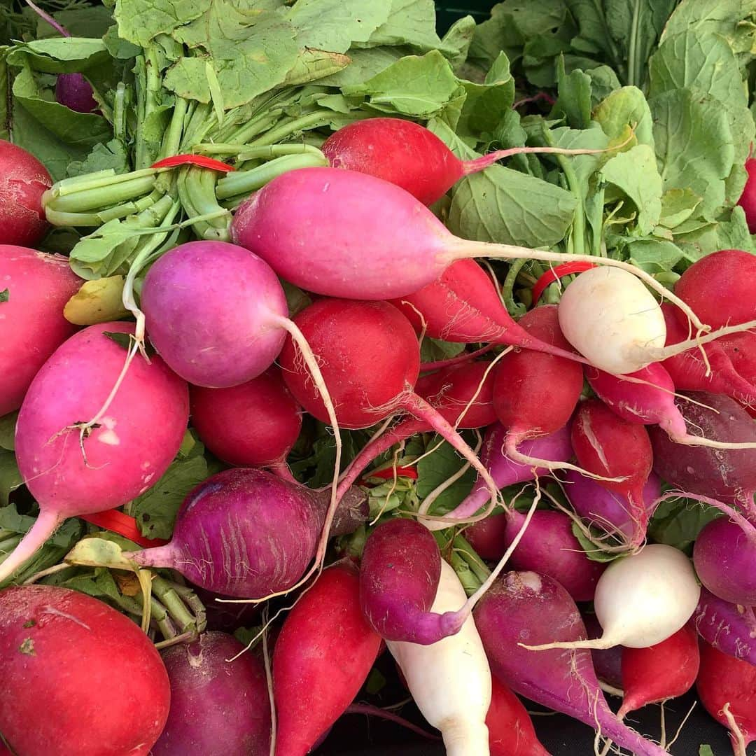 カミーラ・ベルさんのインスタグラム写真 - (カミーラ・ベルInstagram)「#feira #felizdomingo #rabanete #happysunday #farmersmarket #radish」7月15日 5時32分 - camillabelle