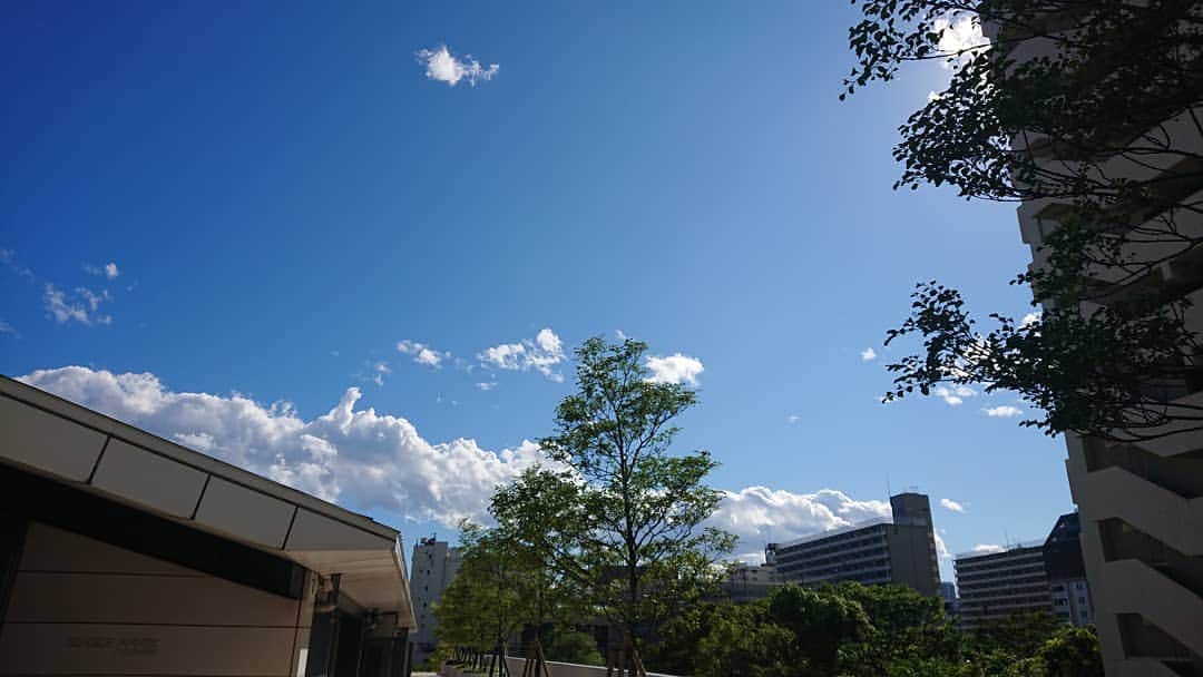 松坂南さんのインスタグラム写真 - (松坂南Instagram)「すっきり晴れた日の空。」7月15日 6時00分 - minami_matsuzaka