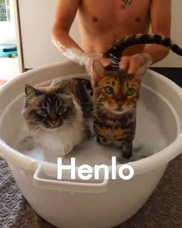 Aww Clubのインスタグラム