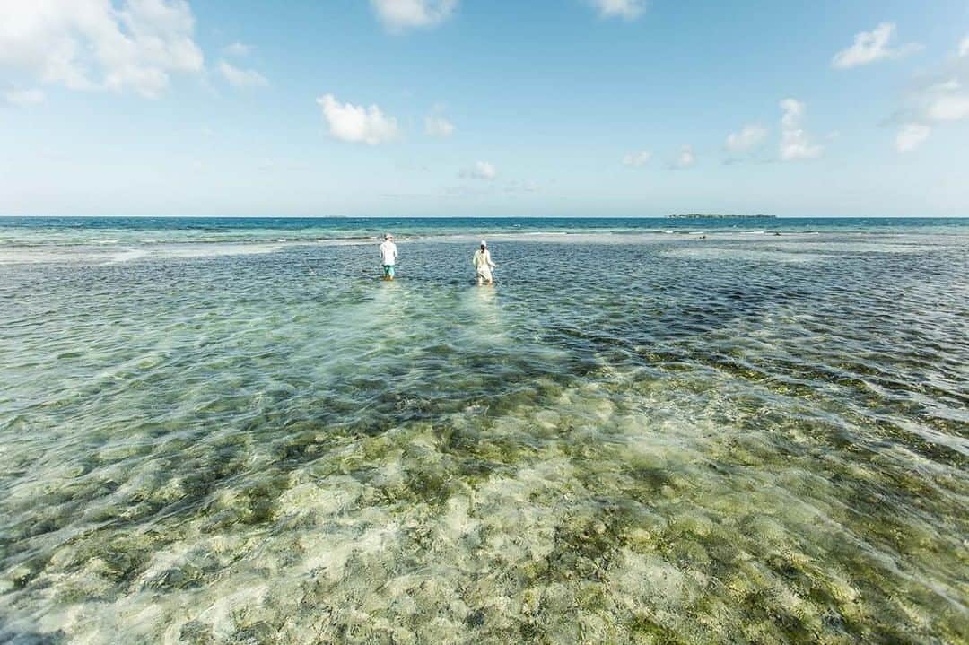 Costa Sunglassesのインスタグラム：「Scanning the edges. #seewhatsoutthere」