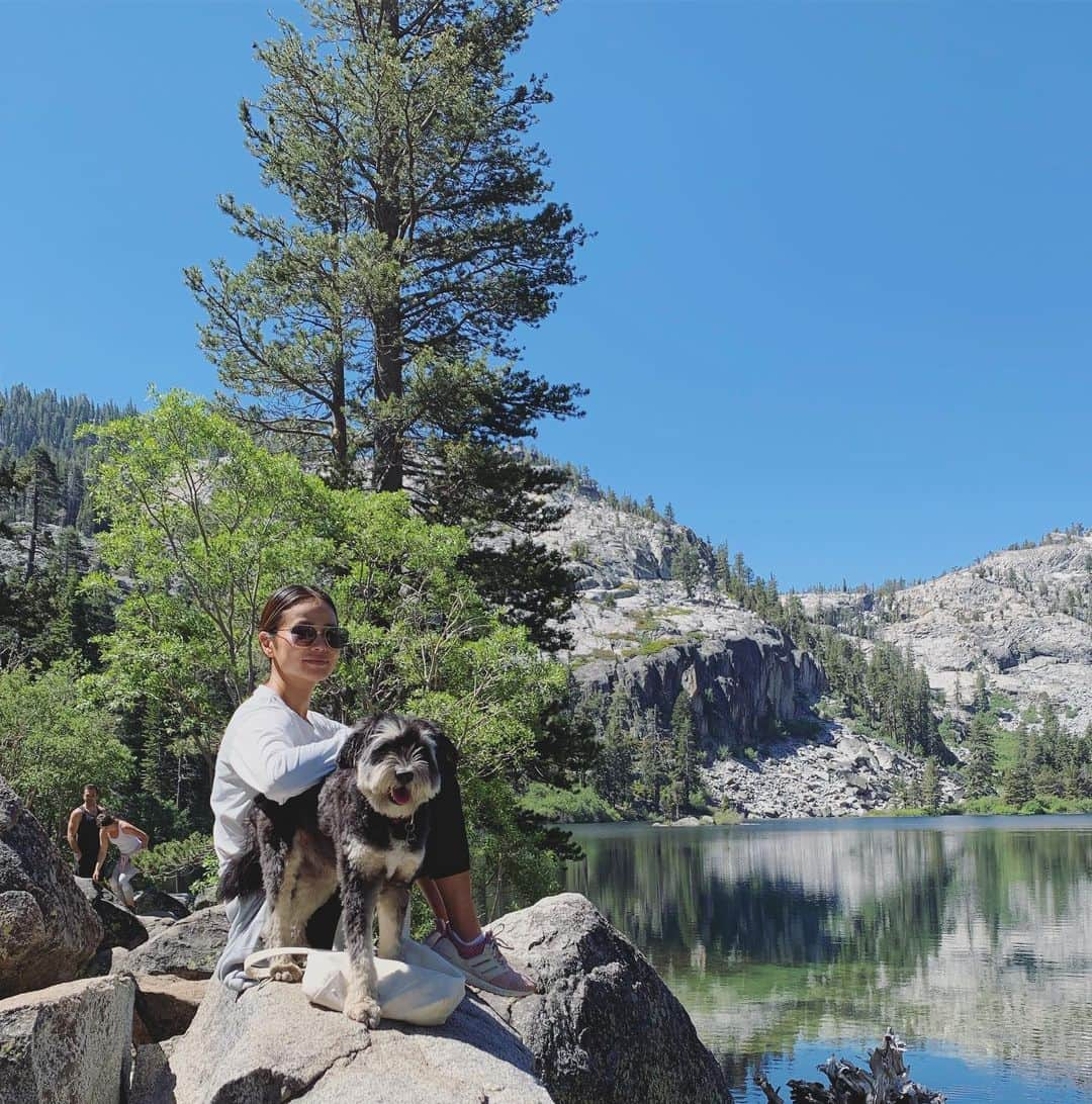 ジェイミー・チャンさんのインスタグラム写真 - (ジェイミー・チャンInstagram)「“Just me and my arrow.” 🐶 #latergram Missing @ewokgreenberg @bryangreenberg #whyihike」7月15日 7時16分 - jamiejchung