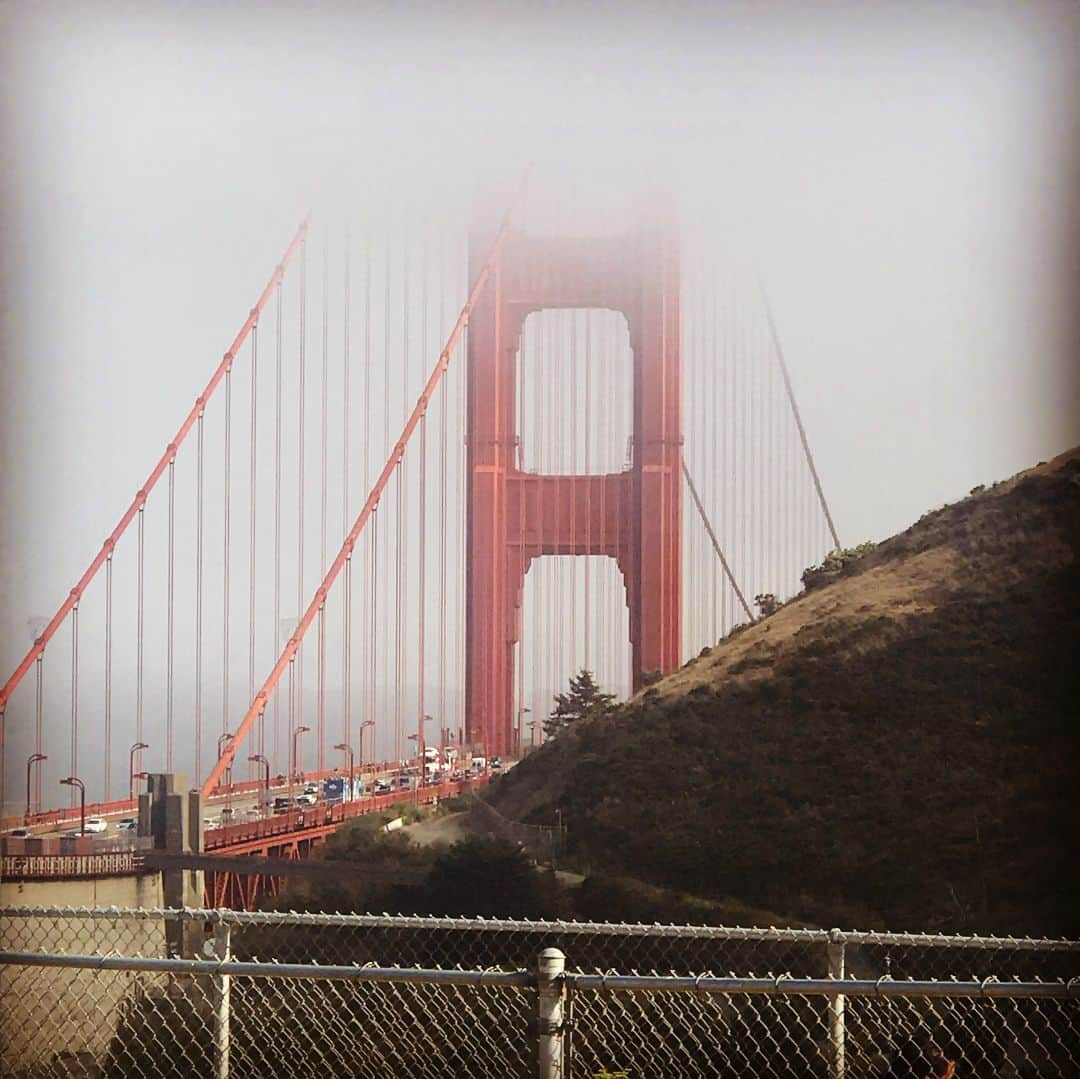 ブライアン・メイさんのインスタグラム写真 - (ブライアン・メイInstagram)「Yes !!! Heroes of fitness !!! We DID bicycle over the Golden Gate Bridge on our day off. In the cold wind and mist ! And I DID wear my helmet ! But it was all worth it to enjoy Sausalito in the sunshine, and revisit one of my favourite restaurants in the world - The Spinnaker on the waterfront - a beautiful spot to reflect on the fact that life isn’t all bad.  Bri」7月15日 7時34分 - brianmayforreal