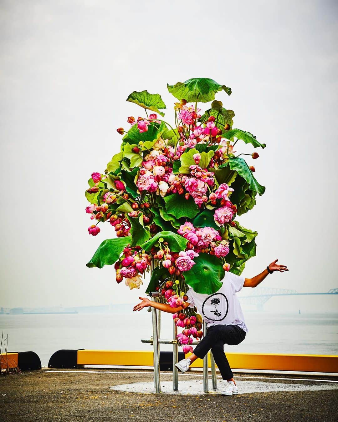 東信さんのインスタグラム写真 - (東信Instagram)「Botanical Sculpture in Odaiba  Date: July 13, 2019  #azumamakoto #makotoazuma #shiinokishunsuke #amkk #amkkproject #flowers #flowerart #botanicalsculpture #東信 #東信花樹研究所 #蓮 #ハス #tokyo #お台場 #毎年恒例 #odaiba #海とハス」7月15日 7時25分 - azumamakoto