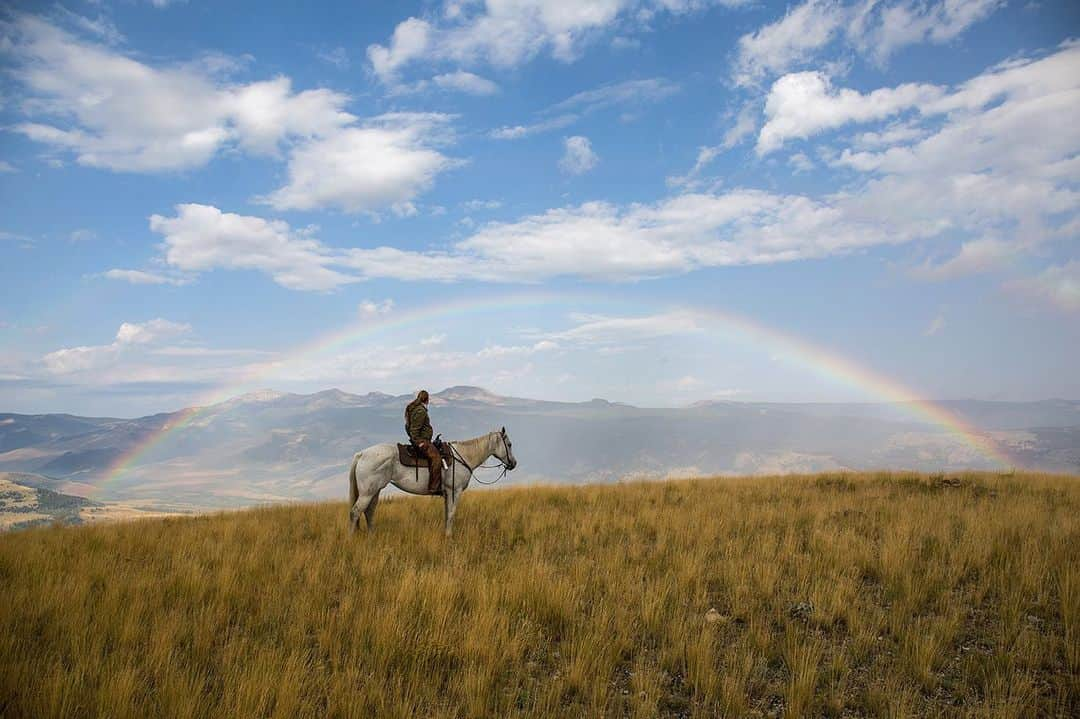 National Geographic Creativeさんのインスタグラム写真 - (National Geographic CreativeInstagram)「Photo by @ronan_donovan | A ranger rides her horse to monitor the landscape to deter predators from coming near livestock. #Montana #Agriculture #Landscape」7月15日 7時43分 - natgeointhefield