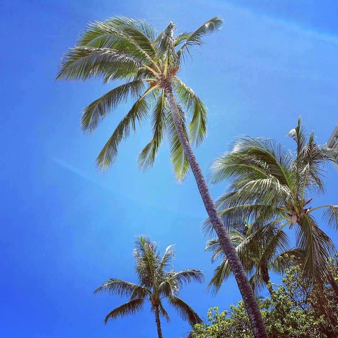 吉田美紀さんのインスタグラム写真 - (吉田美紀Instagram)「・ ・ 来週の今頃は空港かなぁ✈️ ・ 日曜日の今日は朝から海🏖 午後までたっぷり遊ぶのだそうです！ 遊び方がまだまだお子ちゃまで なんかほっとしてしまう…♡ ・ #hawaii #sunday #beach #ハワイ #日曜日 #ハワイステイ #週末」7月15日 7時47分 - miki__yoshida