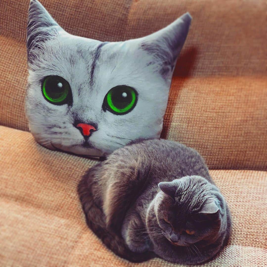 チキン南蛮カレーのルウ王子のグルメインスタ