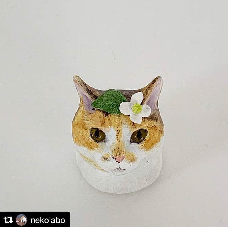 山田稔明さんのインスタグラム写真 - (山田稔明Instagram)「おはよ。チミちゃん元気やろか。猫ラボさんが作ってくれたチミ首、旅のお供に連れていくのもいいかもしれない。 ・・ #Repost @nekolabo ・・・ 粘土のポチ実、あまりにかわいく仕上がったので昨晩飼主のもとへ。おまけのフェルトベッド？付き。横顔もかわいいのです。 ・ 8月にこの小さな粘土の猫をまとめてお見せ&販売する機会があり、いま鋭意制作中です（ポチ実はいません）。高さ5cmくらい。 #ポチ実」7月15日 9時16分 - toshiakiyamada