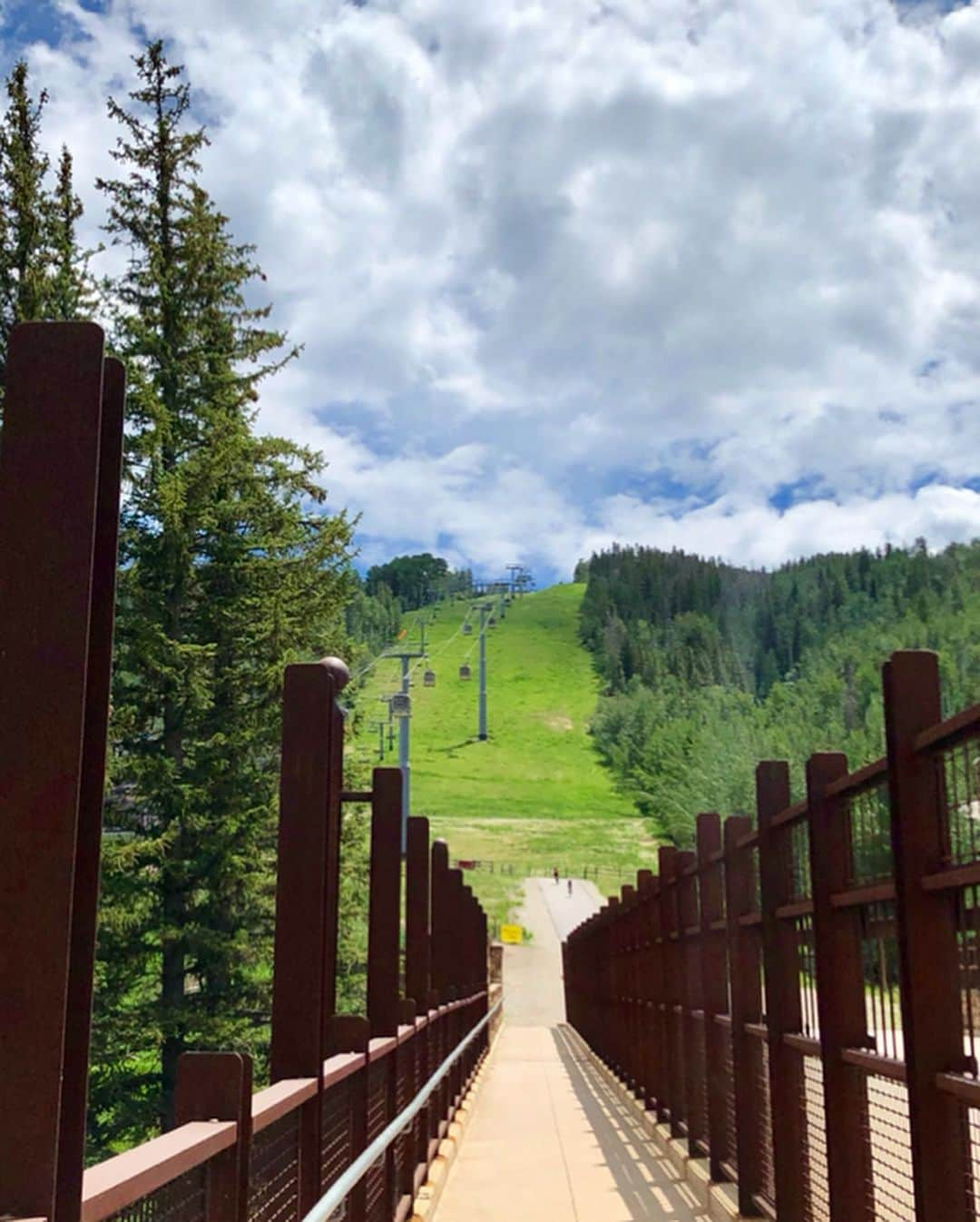 アグネス・ザワツキーのインスタグラム：「Tripped on majority of the tree roots 🥾🌲🌸 #sundayfunday #vailcolorado #berrypickertrail #klutz」