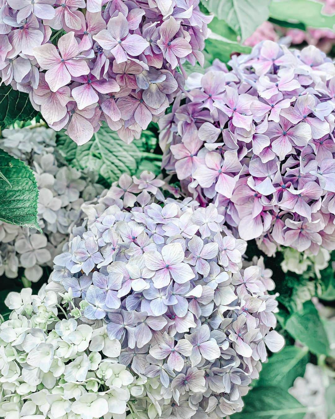 Yukicoのグルメインスタ