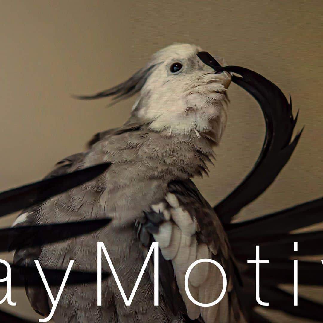 YURAPOi ゆらぽぃさんのインスタグラム写真 - (YURAPOi ゆらぽぃInstagram)「#MondayMotivation」7月15日 21時16分 - ryoichisakai