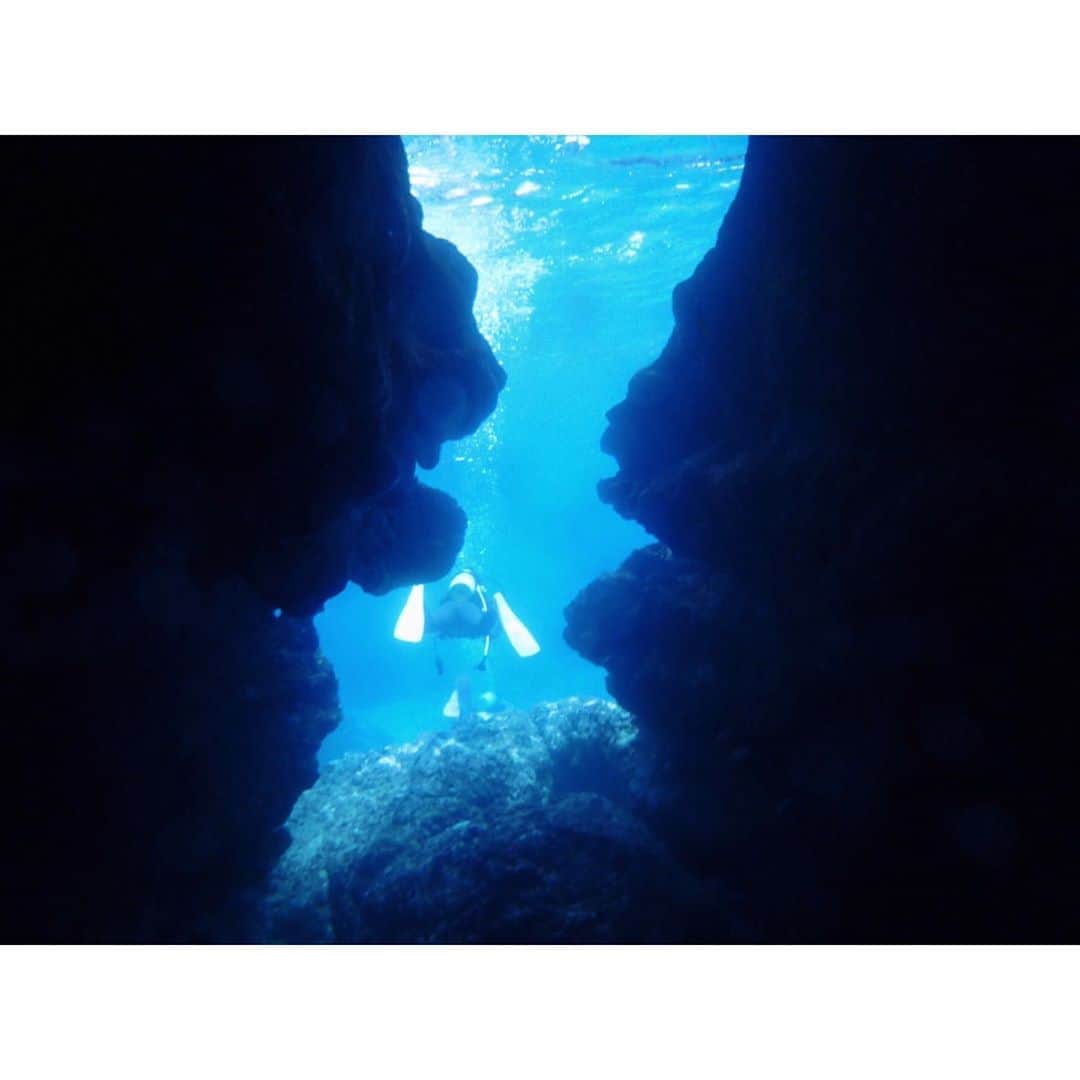 的場絢香さんのインスタグラム写真 - (的場絢香Instagram)「🌊﻿ ﻿ 海の日に、﻿ 宮古島の海中の写真を💙﻿ ﻿ 伊良部に地形ダイビングへ！𓇼*.・﻿ 洞窟の中に入るときはドキドキ。。﻿ 真っ暗闇の洞窟から見る海は﻿ 光が差してブルーがキレイだった〜。﻿ ﻿ ライセンスを取って初のダイブ！﻿ 緊張したけど、やっぱり﻿ 海の中は気持ちいい~~🐠♩﻿ 水中カメラも欲しいなぁ。﻿ いつかウミガメやマンタにも会いたい𓆉💕﻿ ﻿ _____________________________________ #マトバ旅 #宮古島 #伊良部島 #沖縄 #PADI #OWD #ダイビング #海 #diving #likes」7月15日 19時55分 - ayaka_matoba