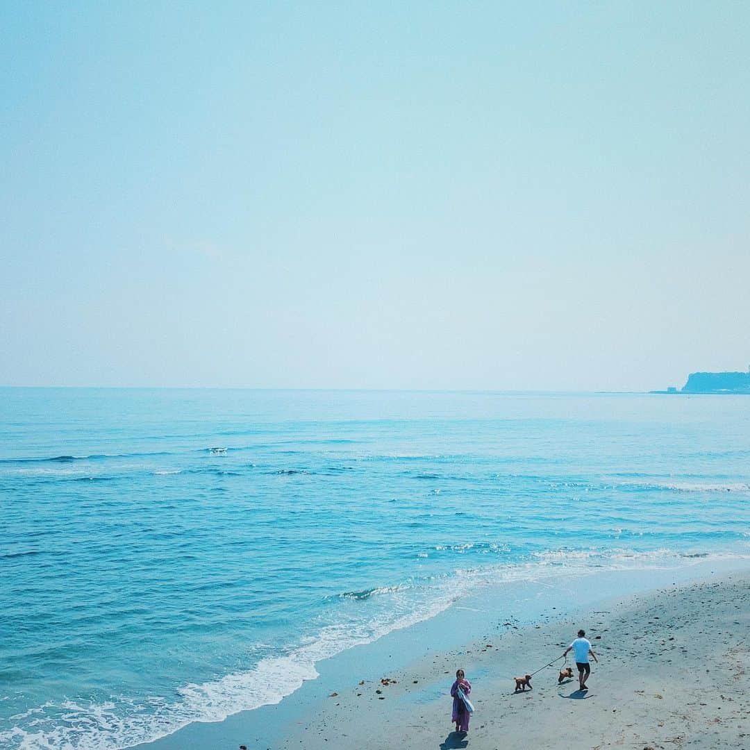 石野千尋さんのインスタグラム写真 - (石野千尋Instagram)「Today is a national holiday called Marine day 🏝 . 今日は海の日！なのに、なんだか肌寒い7月。夏はどこ〜？🌞 しばらくお家から出られないので、お天気だった先月の写真を。 ナオさまファミリー @nao_70koro の撮影で、久しぶりの海に 行ってきました👫🐕👶❣️ . #sea #marineday #uminohi #enoshima #beach #family #dogstagram #photographer #海の日 #七里ガ浜 #🐕 #🏖」7月15日 19時47分 - chihiroishino