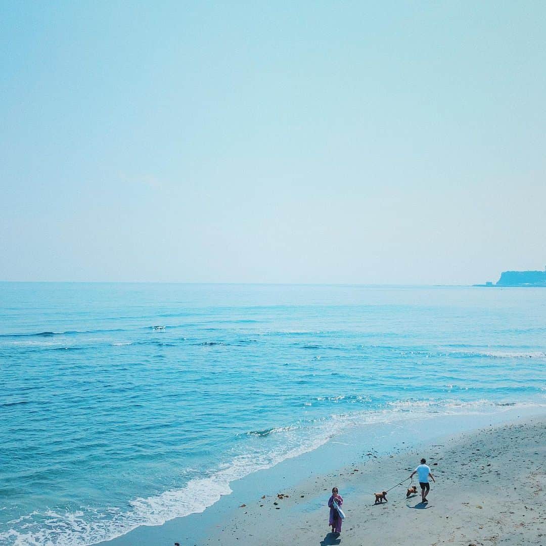 石野千尋のインスタグラム：「Today is a national holiday called Marine day 🏝 . 今日は海の日！なのに、なんだか肌寒い7月。夏はどこ〜？🌞 しばらくお家から出られないので、お天気だった先月の写真を。 ナオさまファミリー @nao_70koro の撮影で、久しぶりの海に 行ってきました👫🐕👶❣️ . #sea #marineday #uminohi #enoshima #beach #family #dogstagram #photographer #海の日 #七里ガ浜 #🐕 #🏖」