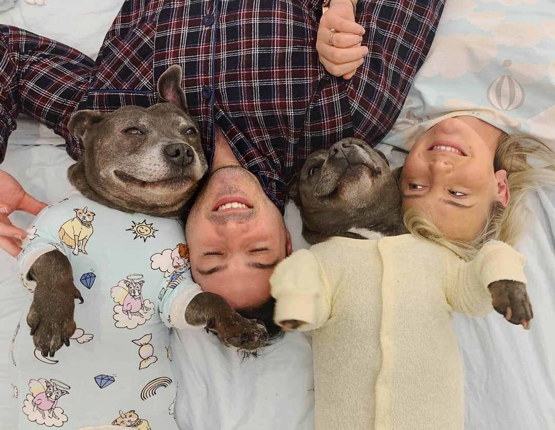のインスタグラム：「Tonight nearly ended v badly. Overheard mum sayin to Dad dat we should go out for a night time walk. In de cold. Ew. So anyway we took care of it. Jumped on de couch lookin dis cute and well here we are crisis averted」