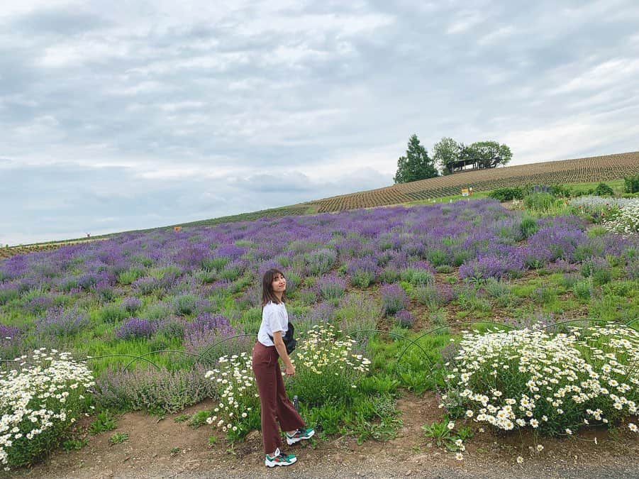 有末麻祐子さんのインスタグラム写真 - (有末麻祐子Instagram)「富良野ではまだ満開ではありませんでしたが 見れました🥺 他にも各所お花畑や広大な大地も、野生のキツネの兄弟も🦊 そして大好きなメロンも🍈」7月15日 19時51分 - mayukoarisue