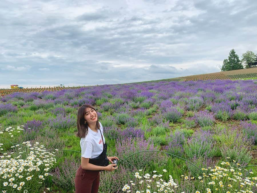 有末麻祐子さんのインスタグラム写真 - (有末麻祐子Instagram)「富良野ではまだ満開ではありませんでしたが 見れました🥺 他にも各所お花畑や広大な大地も、野生のキツネの兄弟も🦊 そして大好きなメロンも🍈」7月15日 19時51分 - mayukoarisue