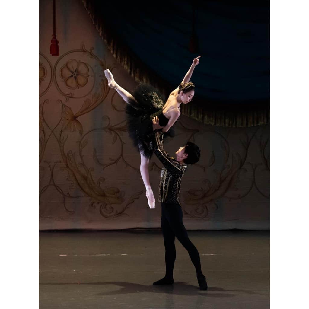 峯岸伽奈のインスタグラム：「. . . thank you so much who come to Ballet under the stars 2019! I had an amazing time with you all.  I made it my principal role debut.🦢 huge thank to my wonderful partner kenya san❤️ and thanks to all sdt family for your encouragement😘 📷@jacey_wacey　@take_dance_photo  @singaporedancetheatre  #singaporedancetheatre #buts2019 #balletunderthestars #swanlake #blackswan #バレリーナ　#バレエ」
