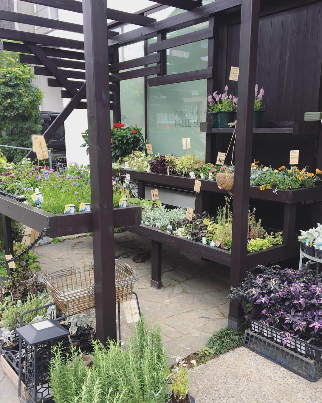 MILLE ECLAT.のグルメインスタ