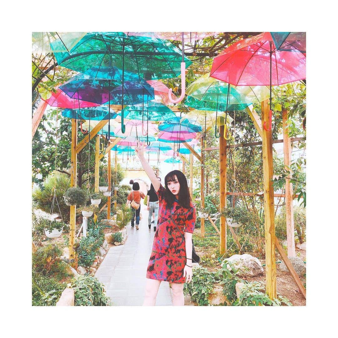 のインスタグラム：「梅雨いつ開けるんだろ〜、明日からまた頑張ろね〜( ¯꒳¯ )ｂ✧  #ハーブ園#郡山#傘#梅雨」