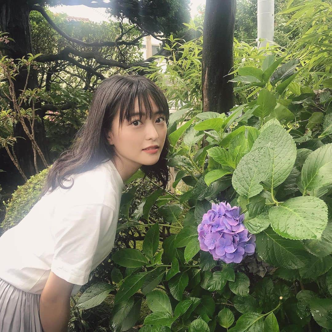 斉藤瑞季のインスタグラム：「紫陽花見つけた✨  #紫陽花 #斉藤瑞季」