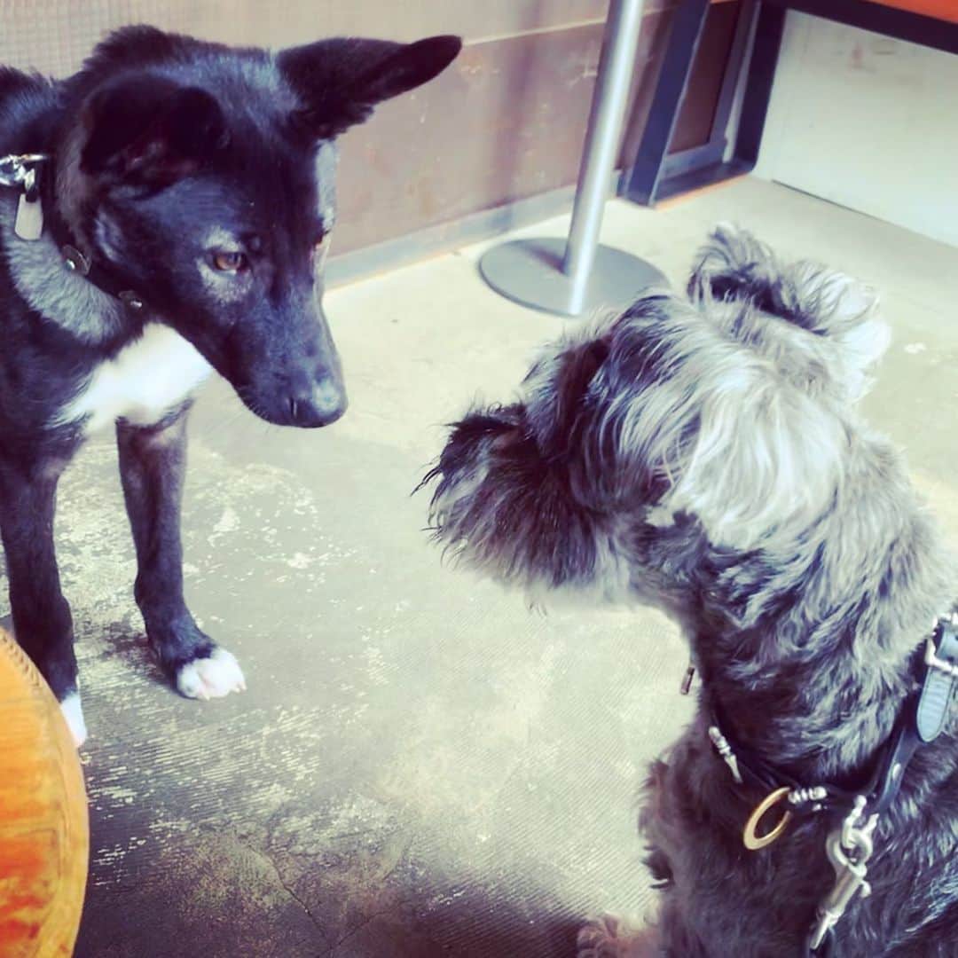 谷川じゅんじのグルメインスタ