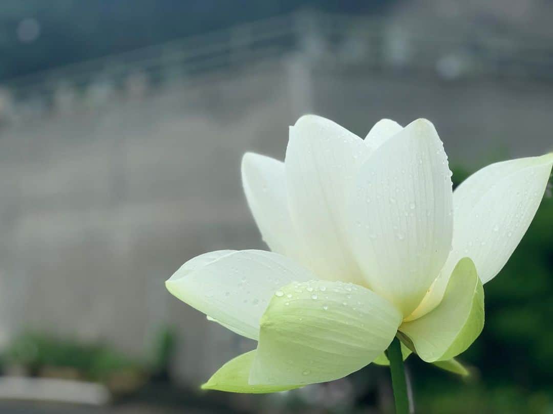 青山有紀のグルメインスタ