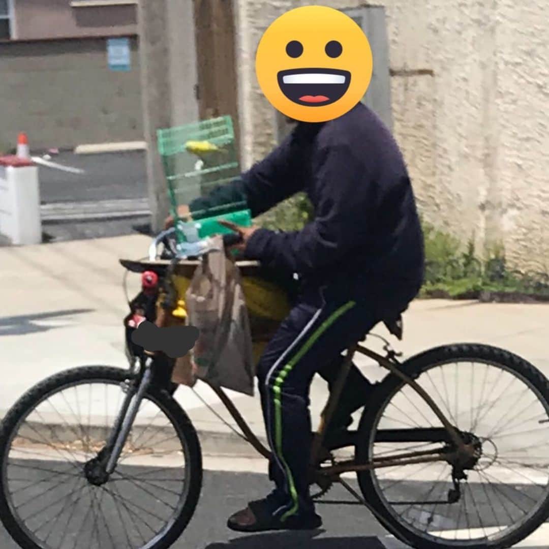 ストーン・コールド・スティーブ・オースチンのインスタグラム：「Saw a dude taking his canary for a ride in a cage on his handlebars. Little fresh air never hurt no one. Little guy looked like he was either having the time of his life or was scared shitless. Prolly taking him to the beach. Or maybe the bird called Uber, and he wanted to go somewhere. Anyway... LA life.  #handfulofbirdseedfortheworkingbird #birdistheword」