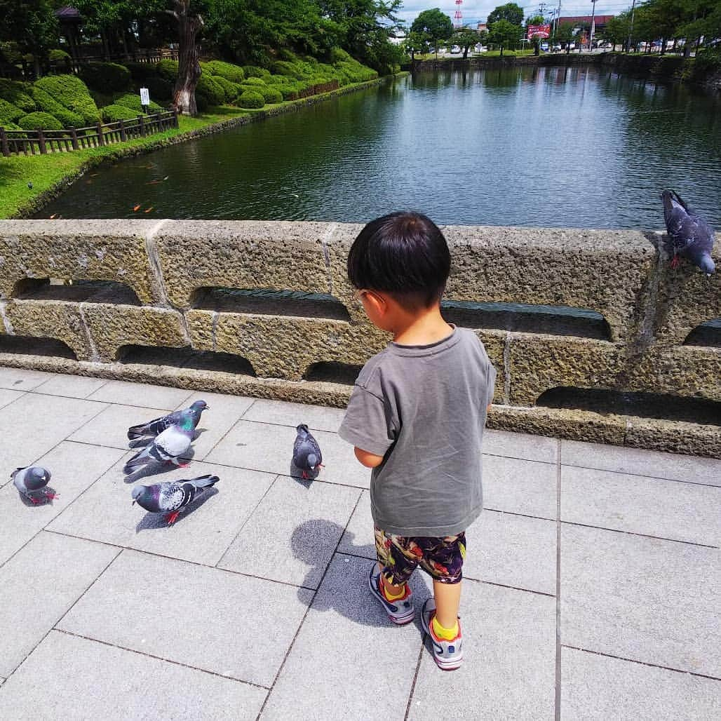 みながわゆみさんのインスタグラム写真 - (みながわゆみInstagram)「#米沢市 #上杉神社 #上杉公園 #青空 #お堀 #おほり #はと #鳩 #はとにえさやり #鯉にえさやり #こわいけど #孫達と一緒に #楽しい時間 #感謝 #ありがとう #緑がきれい」7月15日 13時15分 - nama.09.19