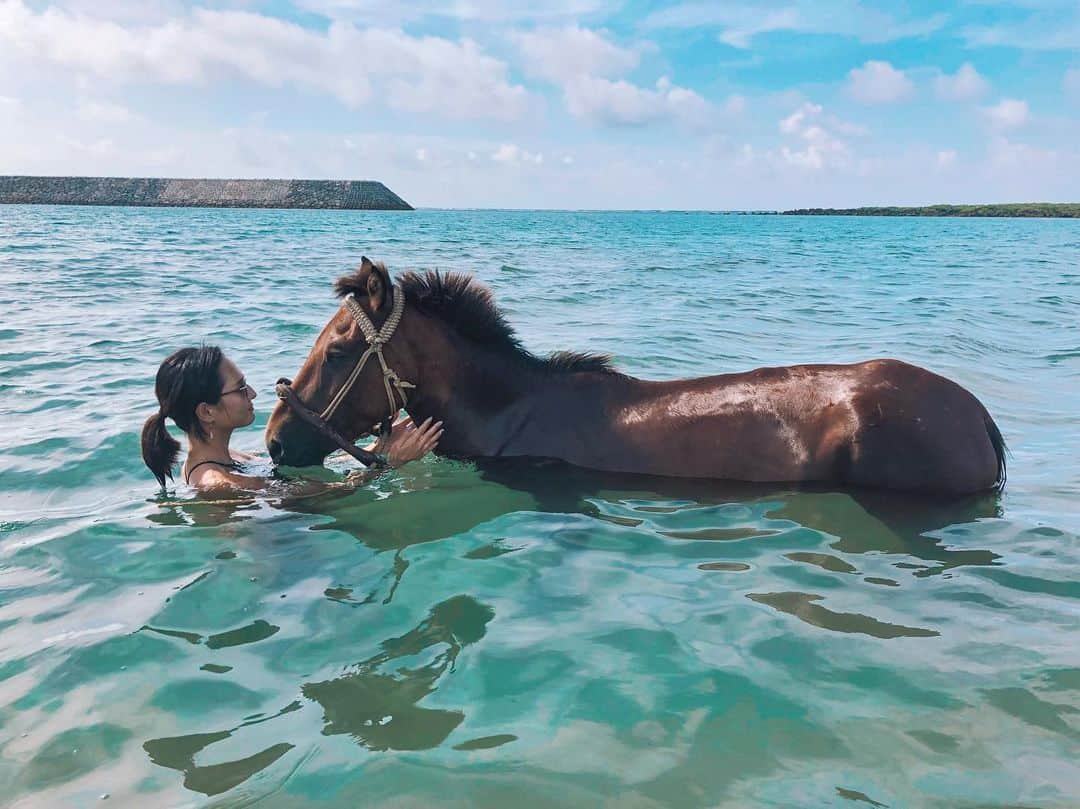 山賀琴子さんのインスタグラム写真 - (山賀琴子Instagram)「朝から乗馬🐴  与那国馬と海の中を歩いたり 水をかけて遊んだり とっても楽しかった☺️ 海から上がったら砂浜でゴロゴロしだして、びっくり可愛かった！笑 #与那国馬風牧場」7月15日 13時32分 - kotokoyamaga