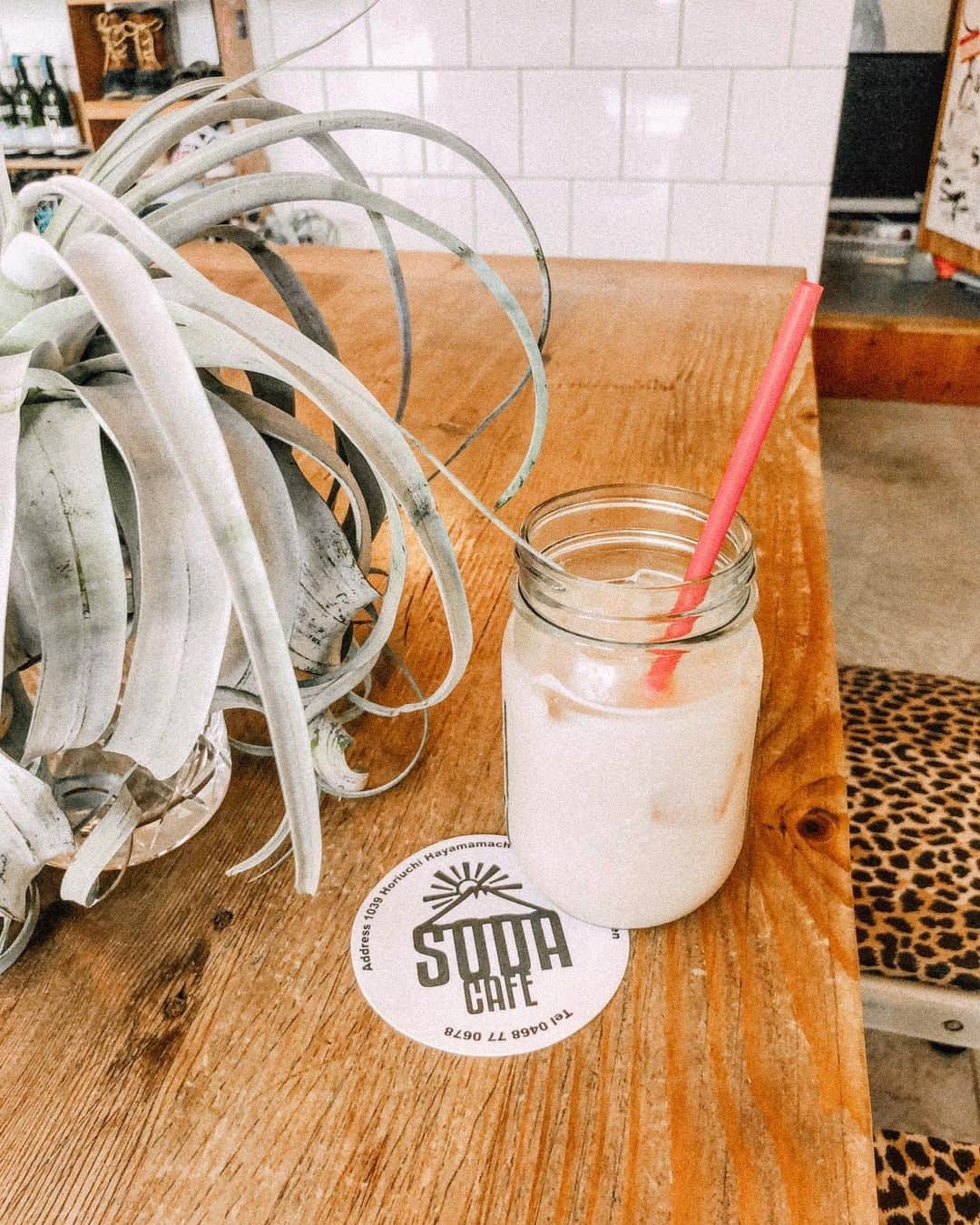 井村亜里香のグルメインスタ