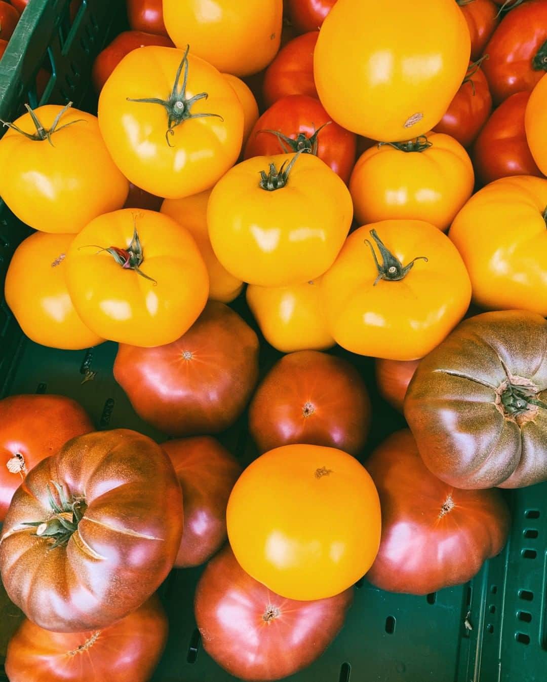 STIL IN BERLINのインスタグラム：「That very, very short time of year when you can buy local heirloom tomatoes - is NOW. 🍅🍅🍅」