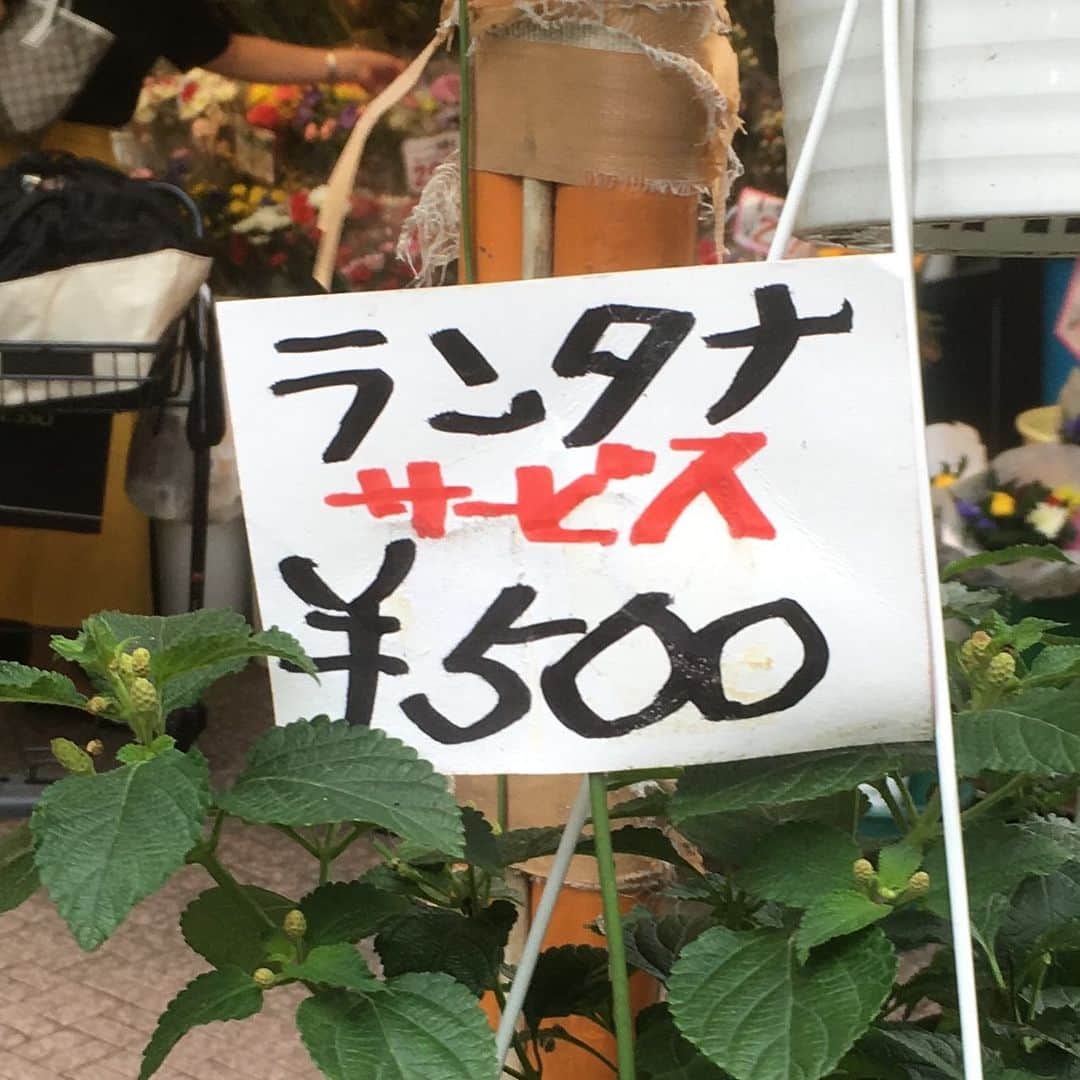 青木俊直のグルメインスタ